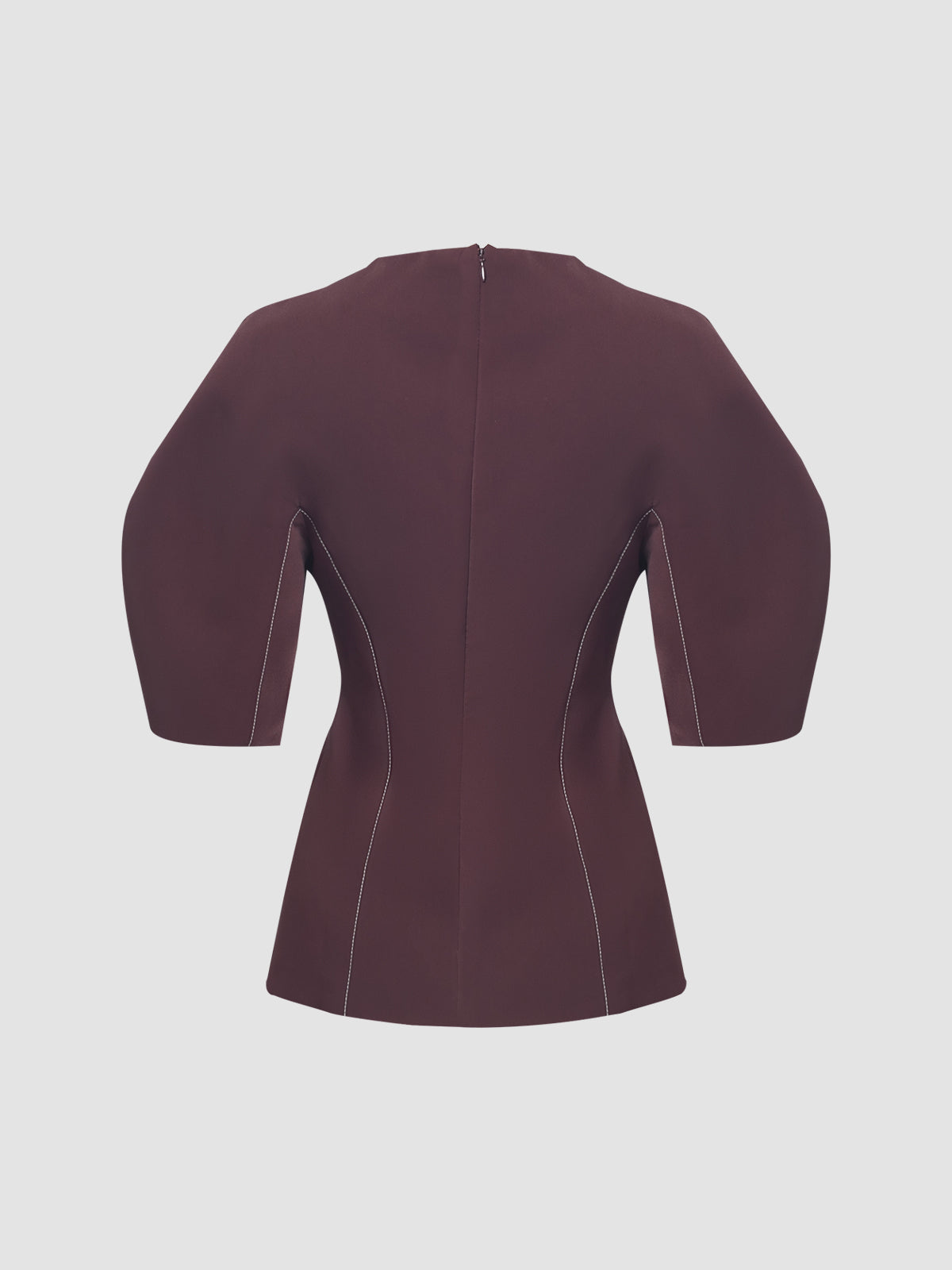 Sculpted Sleeve Top in Masala