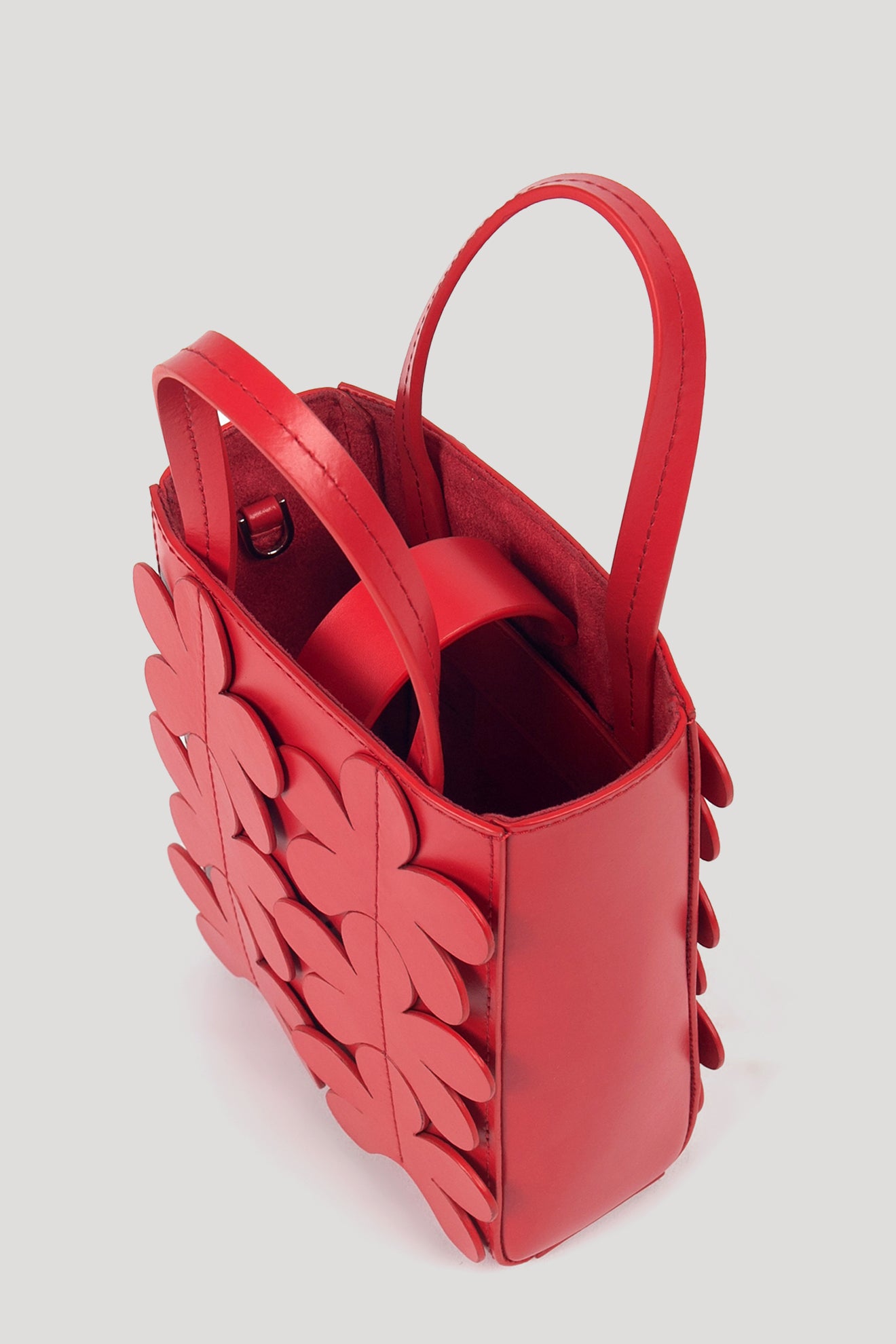 Scarlett Red Saff Mini Bag