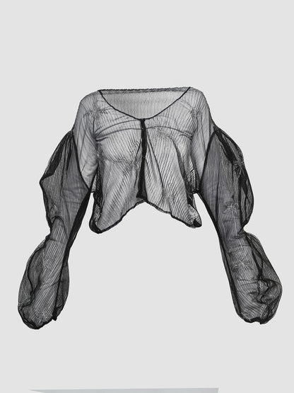 Black with Silver Embroidery Sheer Gorden Structured Puffed Sleeve Top