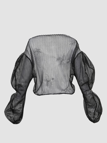 Black with Silver Embroidery Sheer Gorden Structured Puffed Sleeve Top