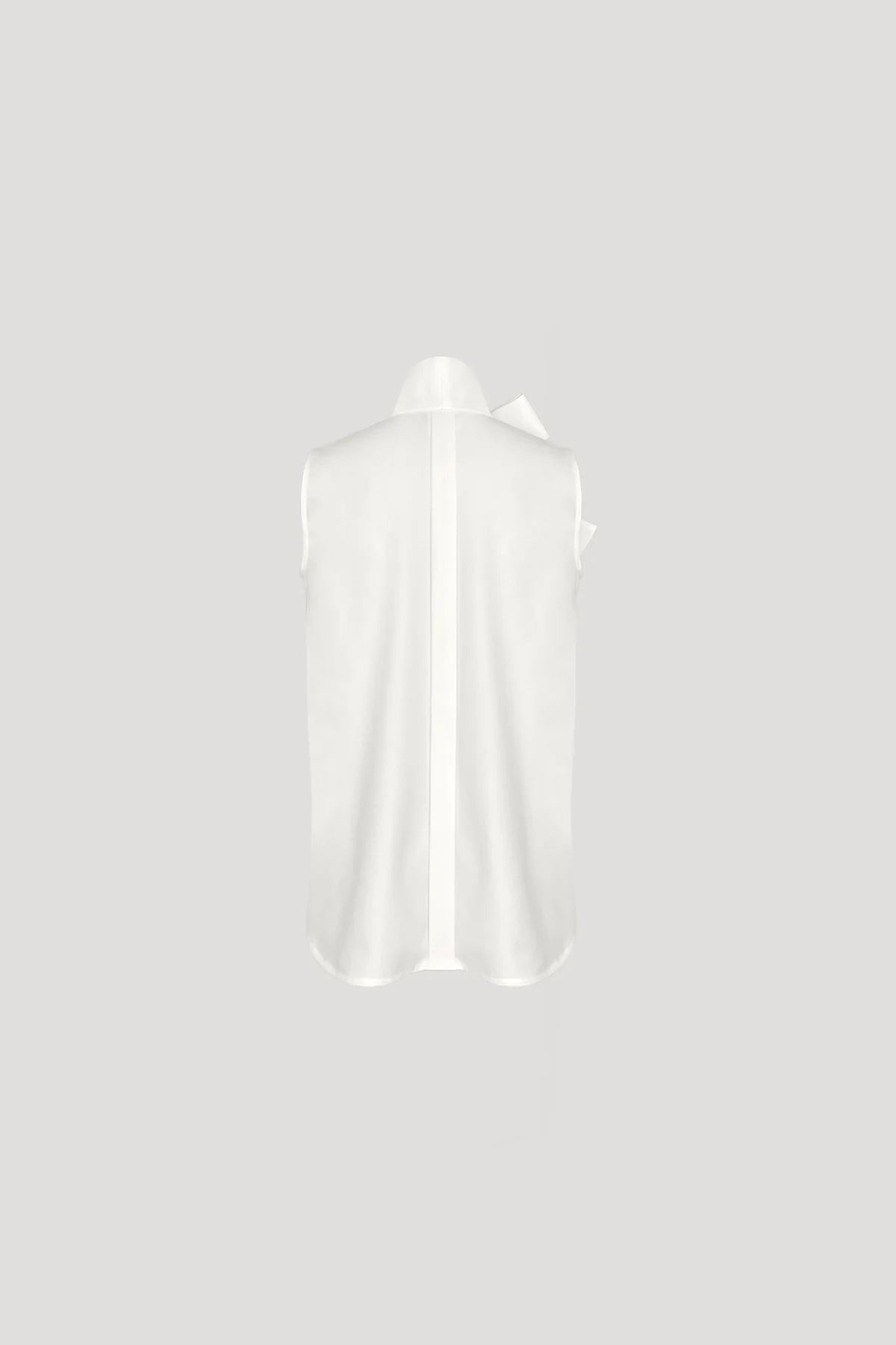 White Chitin Top