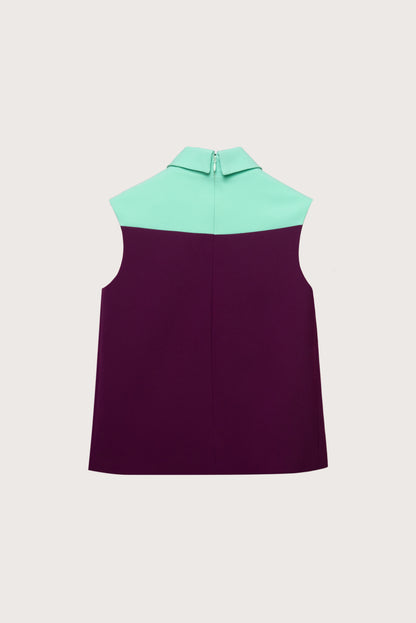 Pistachio & Dark Fuchsia Two-tone Bow Tip Top