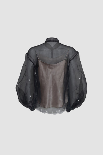 Black Sheer Shirt